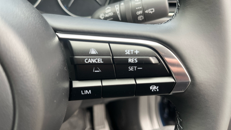 Mazda CX-30 2.5 e-Skyactiv G MHEV [140] Homura 5dr Auto Petrol Hatchback